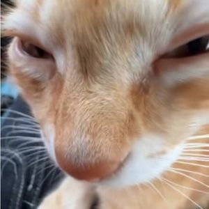 Meet your Posher, Aly